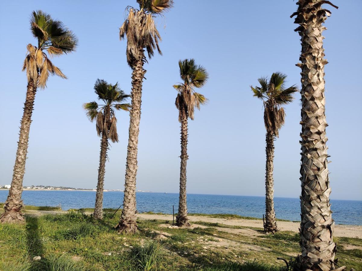 Palm garden paradise Perivolia Bagian luar foto