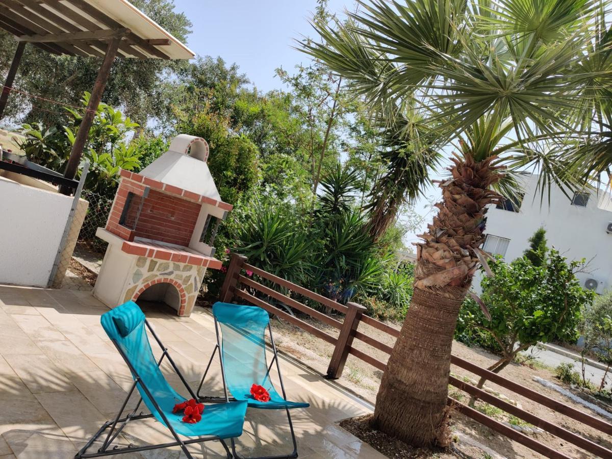Palm garden paradise Perivolia Bagian luar foto